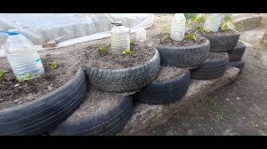 Террасирование склонов на участке с помощью покрышек (с субтитрами).