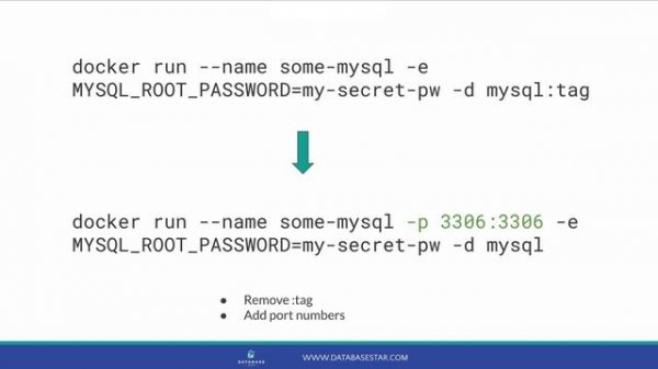 How to Set Up MySQL Database with Docker