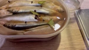 Салака пряного посола.