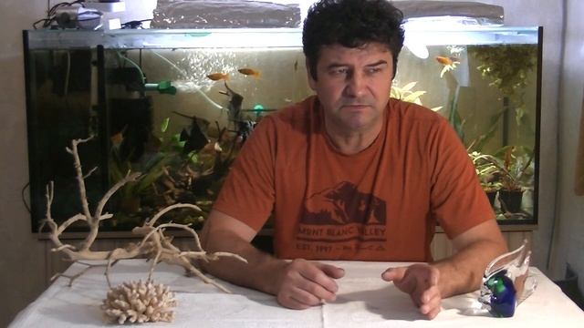 Правда о трубочнике. Междоусобица разводчиков. смотреть онлайн