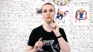 Дрессировка щенка: с чего начать? Учим базовые команды - сидеть, лежать, стоять. Часть 2.