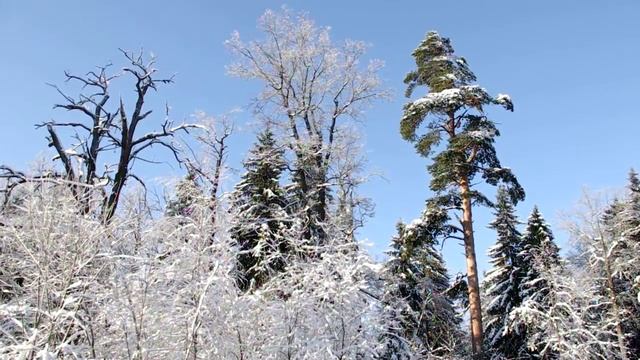 Pentax K-r, тест видеорежима/Pentax K-r video test смотреть онлайн