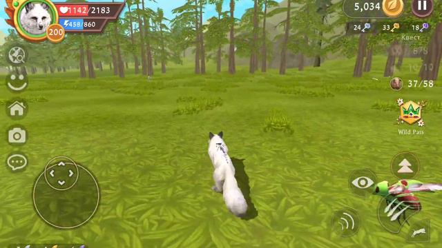 прохожу последнее задание в квесте в Wild Craft!(#оле7#doohrysi#вайлдкрафт#wildcraft#вилдкрафт#game