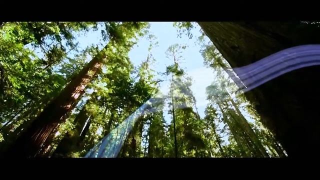 Кондиционер Haier Lightera Crystal вентгрупп.рф смотреть онлайн