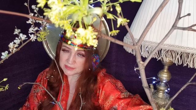 Канарейка смотреть онлайн