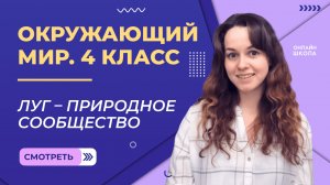 Луг – природное сообщество. Видеоурок 13. Окружающий мир 4 класс
