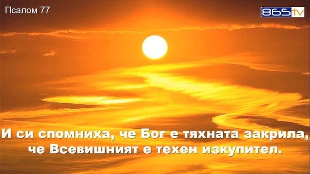 Псалом 77 смотреть онлайн