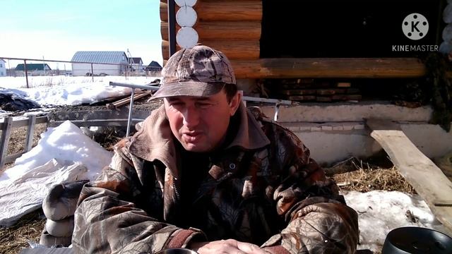 Стоит ли держать подсадных гусей для охоты .