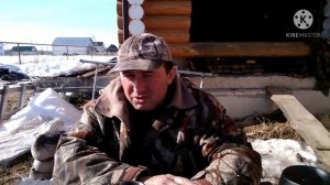 Стоит ли держать подсадных гусей для охоты .