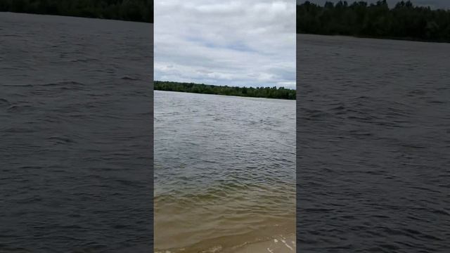 Приехали на реку Дон #рекадон #дон #волгоград #отдых #отпуск смотреть онлайн
