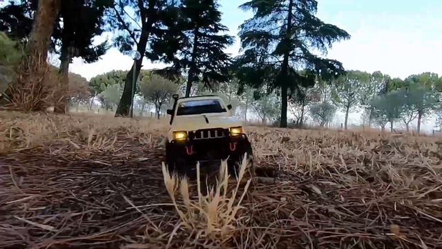 WPL C14 RC Crawler 4WD Scale 1/16 2.4G смотреть онлайн