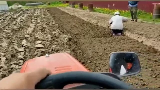 Разработка участка после большого трактора! смотреть онлайн