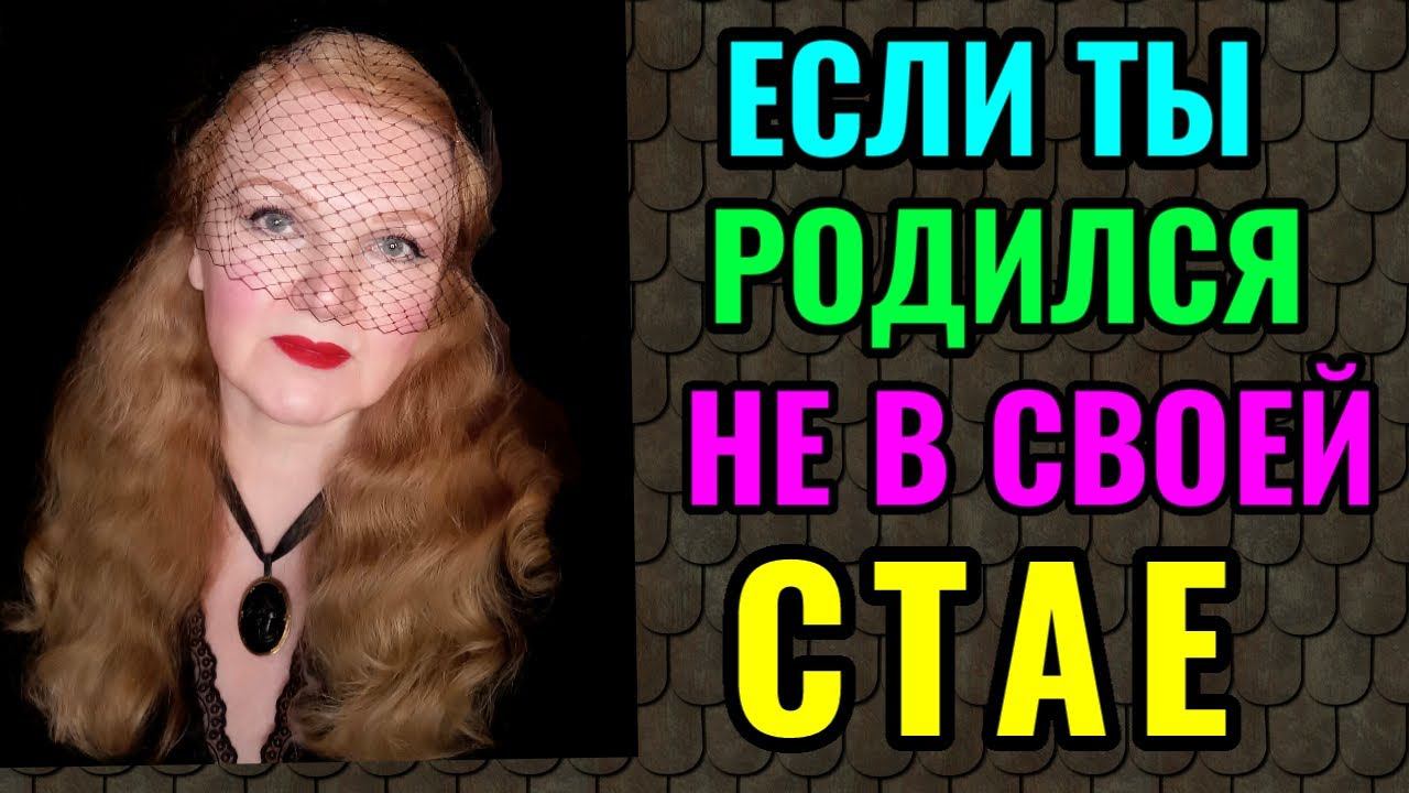 Как быть, если ты родился не в своей стае. И ответы на вопросы смотреть онлайн