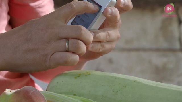 Внимание! Опасно! Меряем нитраты в овощах и фруктах с помощью нитрат-тестера