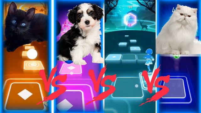 Cute Cat vs Cute Dog | Lady Gaga Bloody Mary | Bongo Cat/Bongo Dog | Tiles Hop EDM Rush!!!!! смотреть онлайн