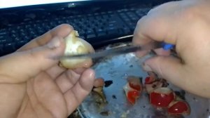 Как чистить и готовить Весенние грибы Саркоцифы