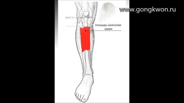 Лоу кик в ГКЮ Архангельск смотреть онлайн