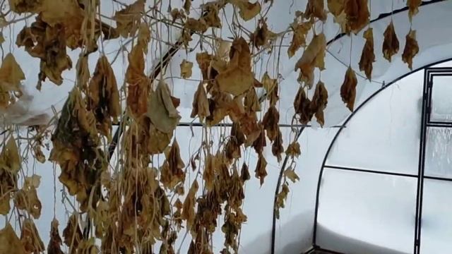 #дачазимой#снег ВЛОГ:ДАЧА/СНЕГ смотреть онлайн