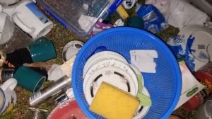 Нашла на улице чёрную сумку и забрала ! Что с ней не так ? Не свалка ,а барахолка .Элла Австралия