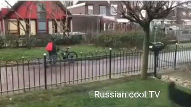 Собакен, играет с прохожими мячом😁 смотреть онлайн