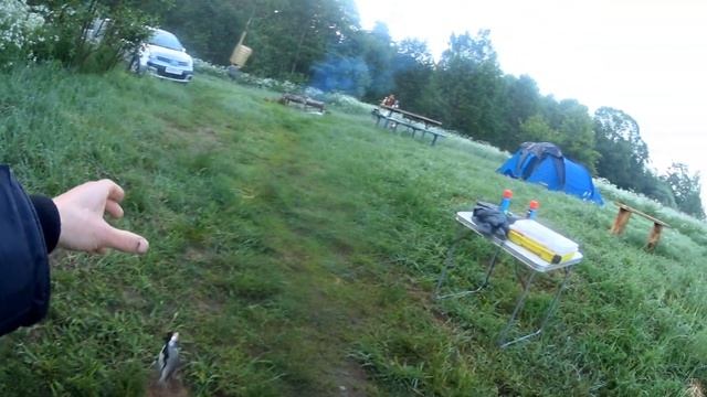 СКОЛЬКО РЫБЫ НА НОВОМ МЕСТЕ!!! РЫБАЛКА ФИДЕРОМ НА РЕКЕ. смотреть онлайн