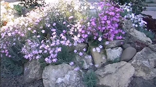 Песня "Красногвардейская земля" исполняет Н Бычихин смотреть онлайн