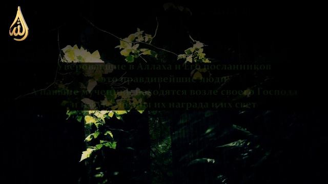 Мухаммад аль Люхайдан, сура аль-Хадид, 17-20 смотреть онлайн