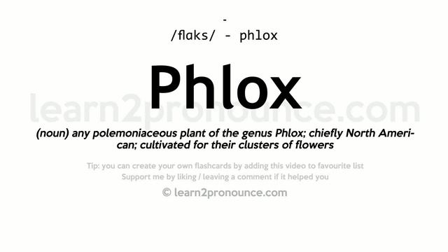 Pronunciation of Phlox | Definition of Phlox смотреть онлайн
