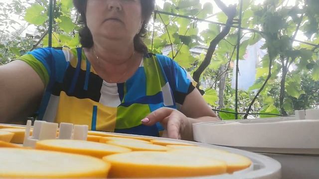 Фрипсы из кабачков и цукини в сушилке EZIDRI смотреть онлайн