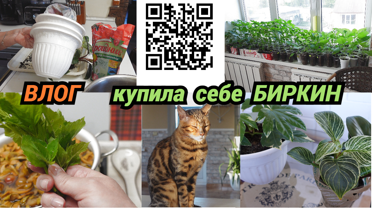 Влог/Купила себе Биркин смотреть онлайн