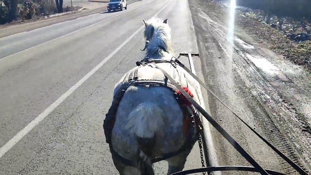 КОБИЛА НА ПРОДАЖУ💵 смотреть онлайн
