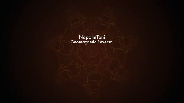 NapalmTani - Geomagnetic Reversal