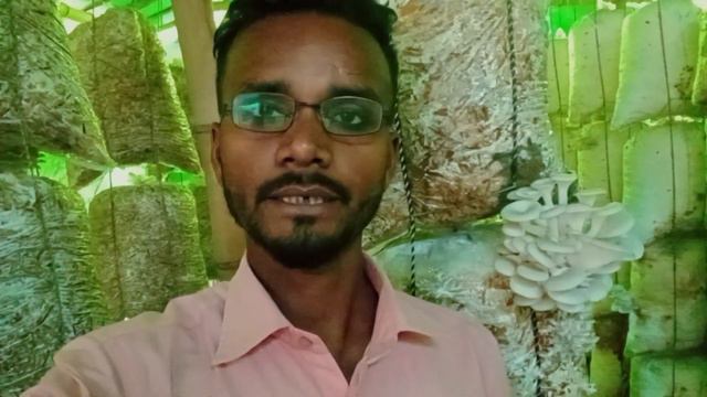 Mushroom spore's side effects, मशरुम खेती से बीमारी हो रही है #mushroomfarming #mushroomharvest смотреть онлайн