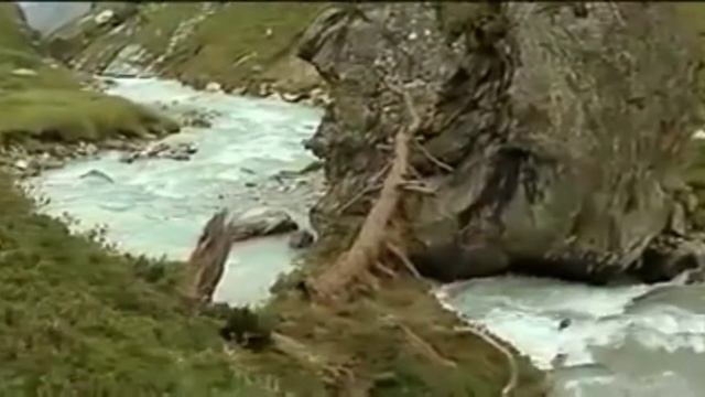 Amazing!! Animal Saves Another Animal | Animal Heroes (Lesson for humanity) HD смотреть онлайн