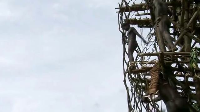 Ритуал племени на острове Pentecost смотреть онлайн