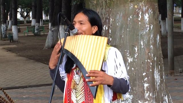 Hector Loza Music from Ecuador смотреть онлайн