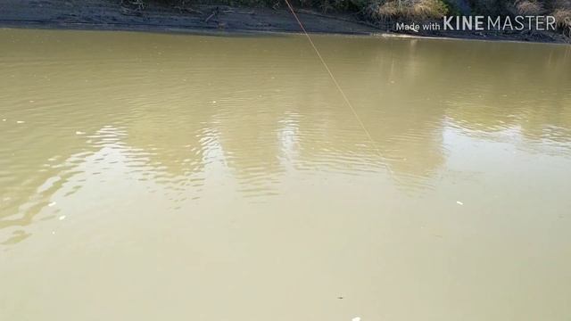 Рыбалка на реке Кубань.Лещ в октябре.Как поймать леща. смотреть онлайн