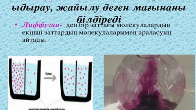 Неліктен біз иісті қашықтан сеземіз?Жаратылыстану 5 сынып смотреть онлайн