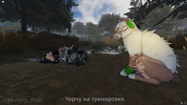 Типичная жизнь оруженосца: