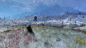 Skellige Meditation - The Witcher 3 Relaxing Ambience & Music