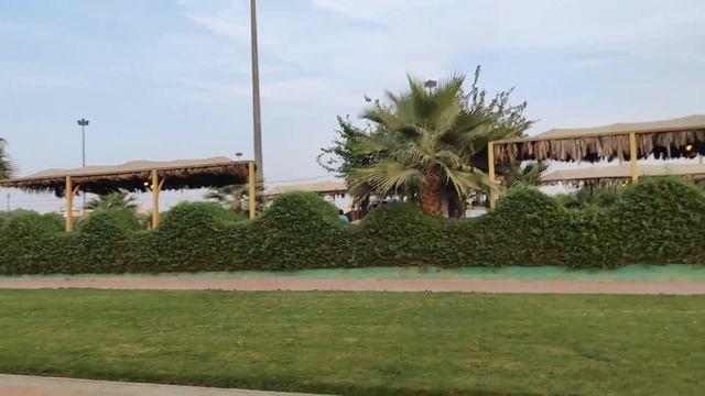 big king Abdullah park ?️ full view #saudiarabia#mgnirob#saudi #park смотреть онлайн