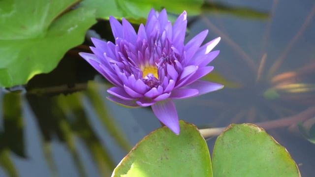 Пхукет - места, которые стоит увидеть! смотреть онлайн