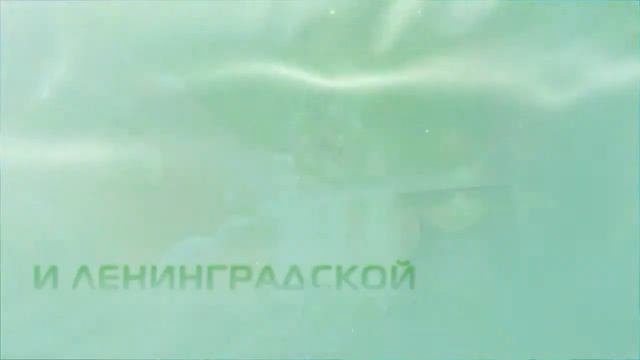 Натяжные потолки ЭВИТА - ПУШКИН, КОЛПИНО, ПАВЛОВСК, ШУШАРЫ, КУПЧИНО, СЛАВЯНКА, МЕТАЛЛОСТРОЙ СПб смотреть онлайн