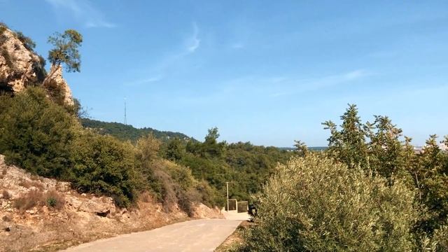 Зоопарк Анталия.Турция 2022.Что интересного в Анталии?!Что посмотреть?! смотреть онлайн