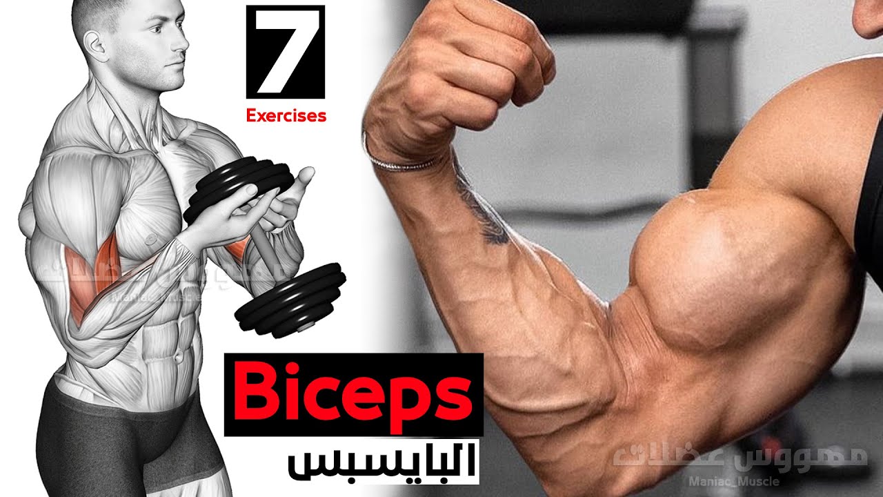 ? Как быстро накачать бицепс (7 эффективных тренировок) смотреть онлайн
