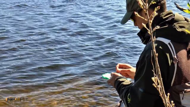 FishUp Lures. Flit. Ловля на Съедобный силикон. смотреть онлайн