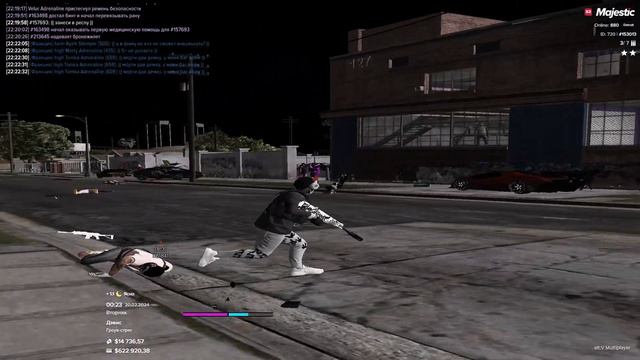 киса киса киса