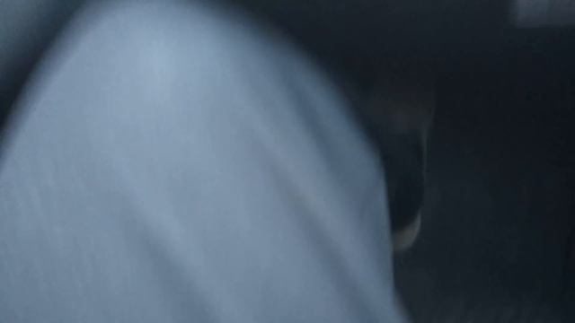 Инспектора бросает в пот, или мы не каратели. Глас Народа KZ. смотреть онлайн