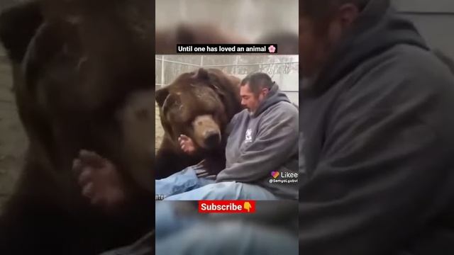 здоровый у него кент смотреть онлайн