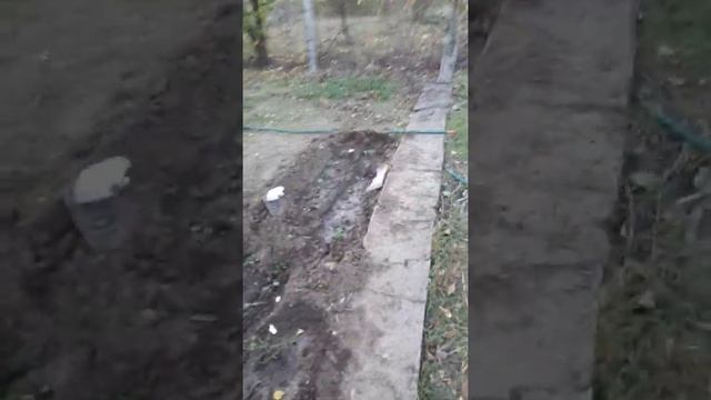 Сад. Дача. Посадка деревьев. 20г смотреть онлайн